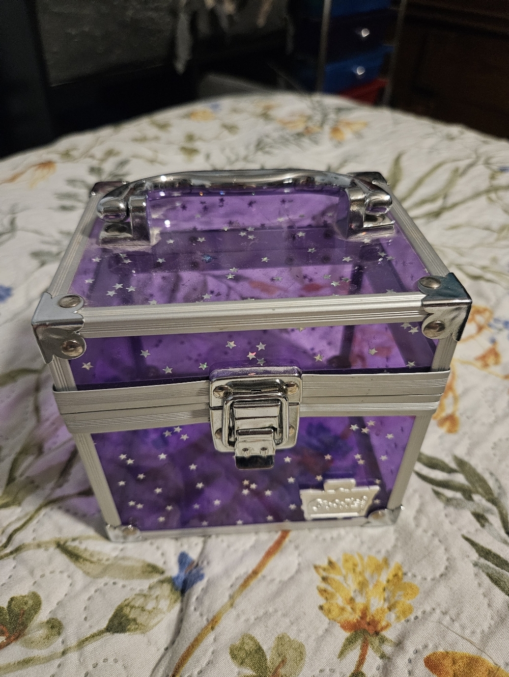 Small Caboodles Storage Box
